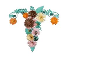 Female Reproductive System